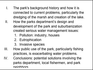 Text Box: I.	The park's background history and how it is connected to current problems, particularly the dredging of the marsh and creation of the lake. II.	How the parks department’s design and development of the park and suburbanization created serious water management issues: 1.	Pollution: industry, houses 2.	Eutrophication 3.	Invasive species III.	How public use of the park, particularly fishing practices, is exacerbating water problems. IV.	Conclusions: potential solutions involving the parks department, local fishermen, and park neighbors.       